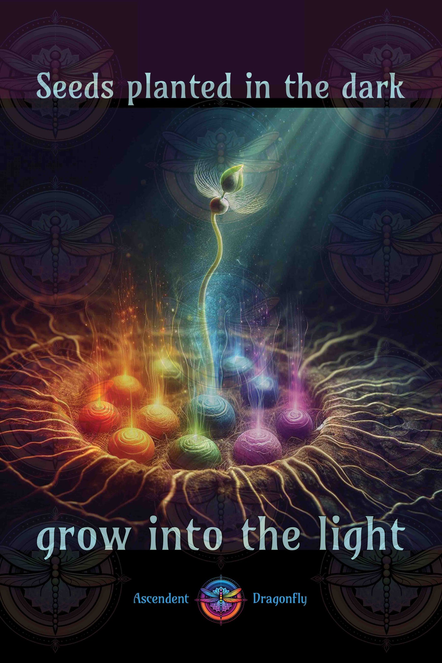 Seeds Planted In The Dark